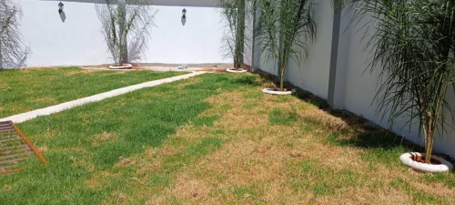 Vente Appartement F5 Alger Cheraga