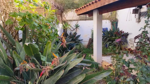 Location Villa Alger Dely brahim