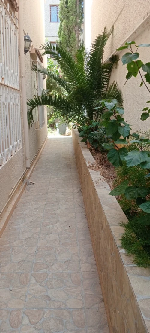 Vente Villa Alger Cheraga