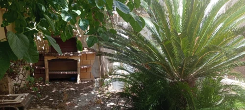 Vente Villa Alger Cheraga