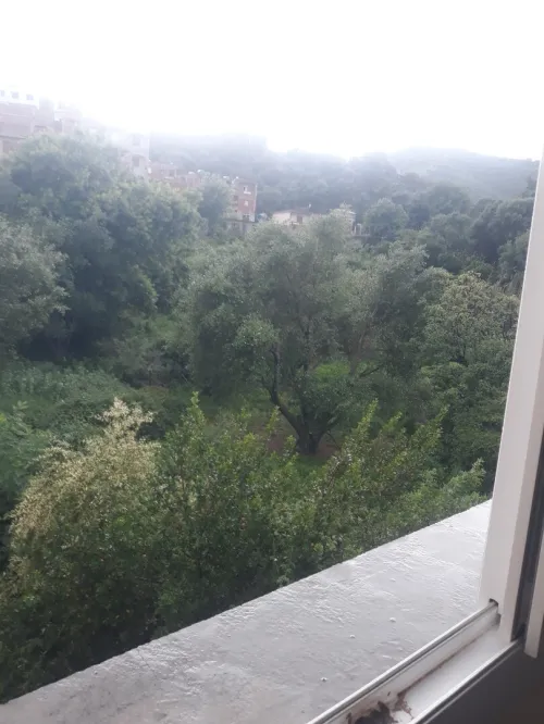 Vente Appartement F4 Skikda Collo