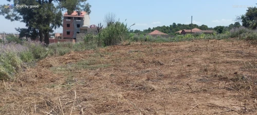 Vente Terrain Blida Meftah