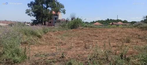 Vente Terrain Blida Meftah