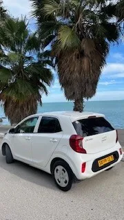 Kia Picanto 2022 Motion