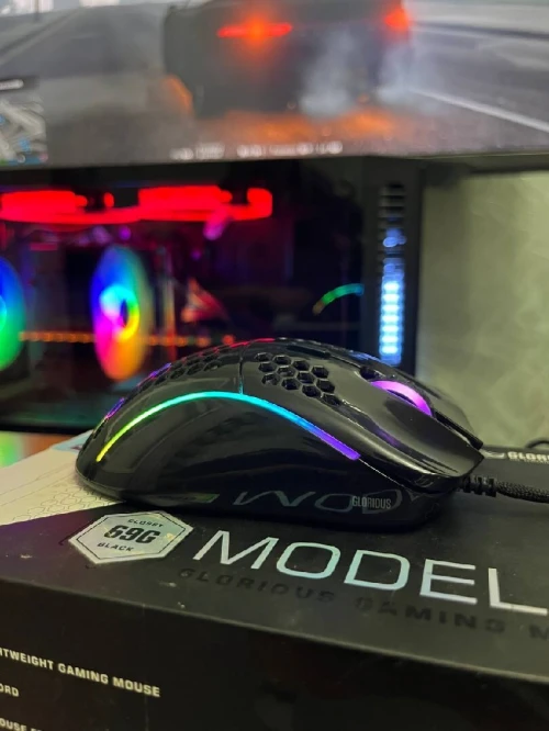 Souris Glorious Model D ( Wired )