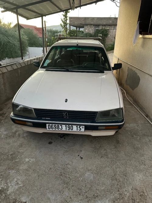 Peugeot 505 1990 505