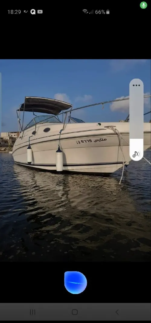 Searay Vedette 1996
