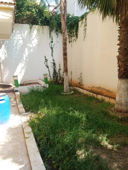 Vente Villa Alger Zeralda