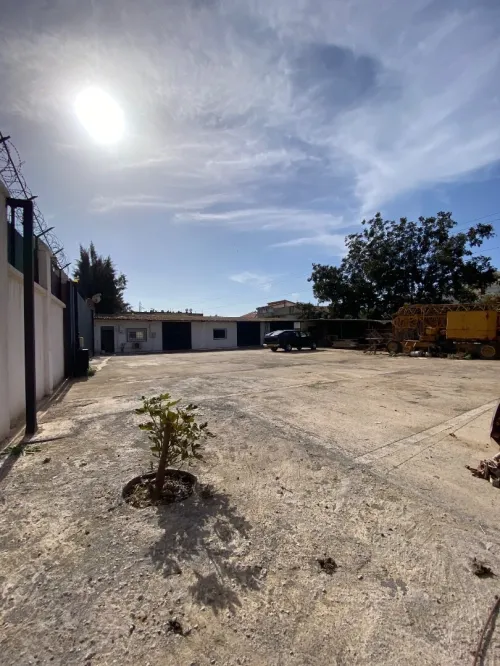 Location Local Alger Tessala el merdja