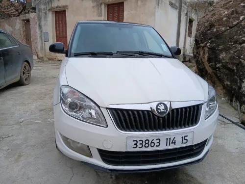 Skoda Fabia 2014 Monte carlo