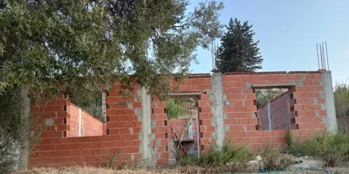 Vente Terrain Tipaza Sidi ghiles