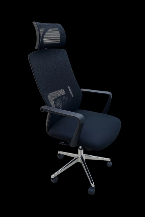 Chaise ergonomique pour bureau