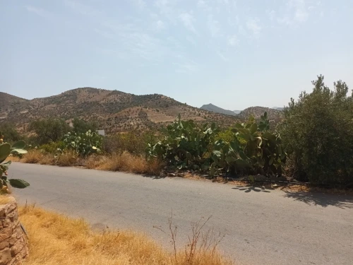 Vente Terrain Béjaïa Akbou