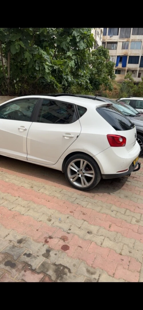 Seat Ibiza 2010 Ibiza