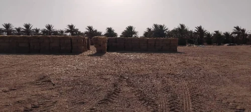 Vente Terrain Agricole Adrar Fenoughil