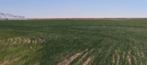 Vente Terrain Agricole Adrar Fenoughil
