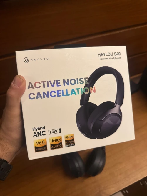 Haylou S40
