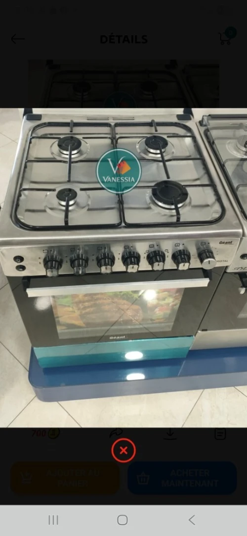 Cuisinière Marque Géant Cristal Ventiller En  Inox