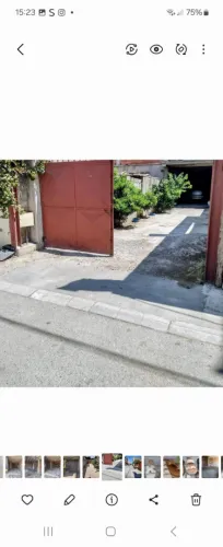 Location Hangar Alger Reghaia