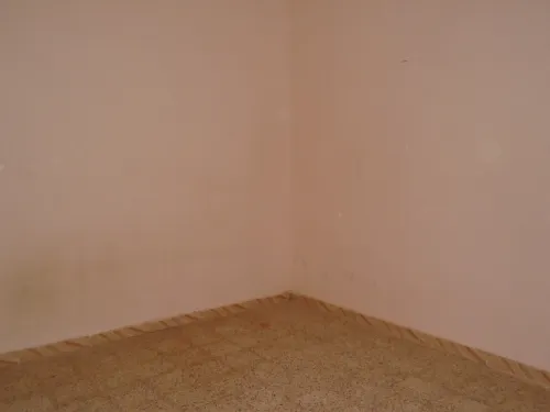 Vente Appartement F2 Naâma Ain sefra