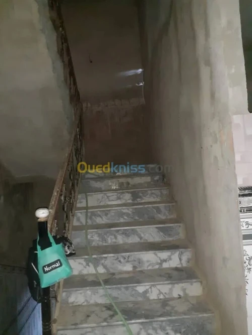 Vente Villa Aïn Defla Tarik ibn ziad