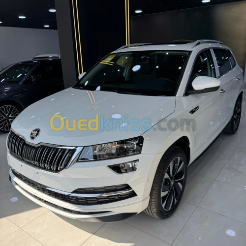 Skoda karoq 2025 full option