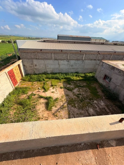 Vente Hangar - Usine Aïn Témouchent Hammam bouhadjar