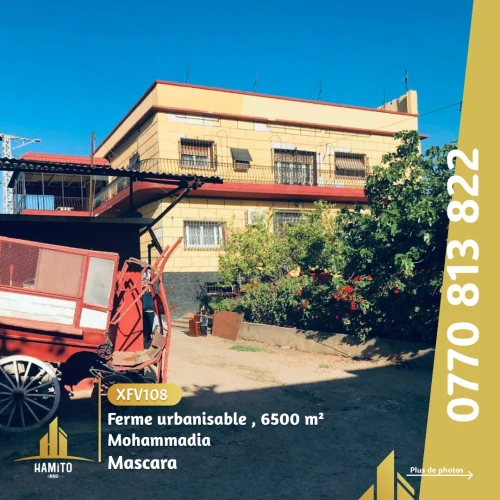 Vente bien immobilier Mascara Mohammadia