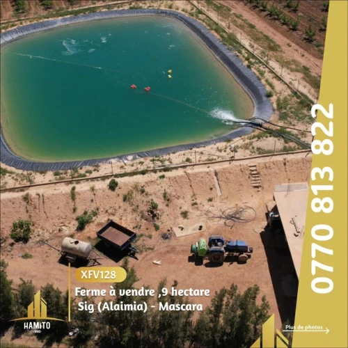 Vente Terrain Mascara Alaimia
