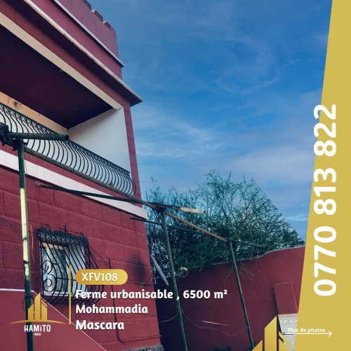Vente bien immobilier Mascara Mohammadia