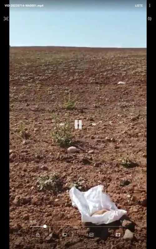 Vente Terrain Agricole Tiaret Tiaret