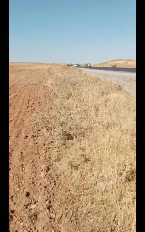 Vente Terrain Agricole Tiaret Tiaret