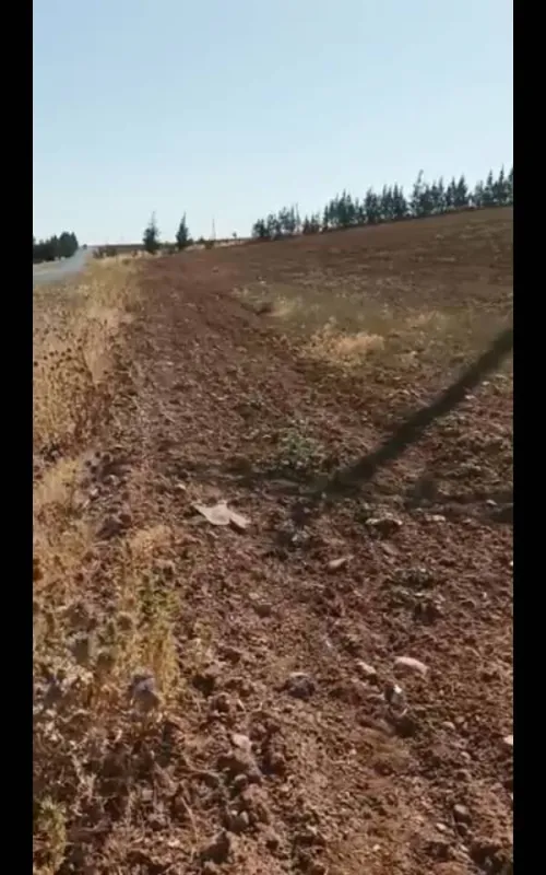Vente Terrain Agricole Tiaret Tiaret