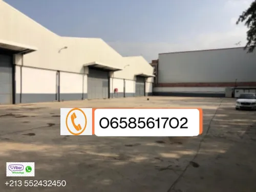 Location Hangar Blida Meftah