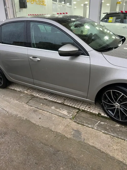 Skoda Octavia 2019 Clever