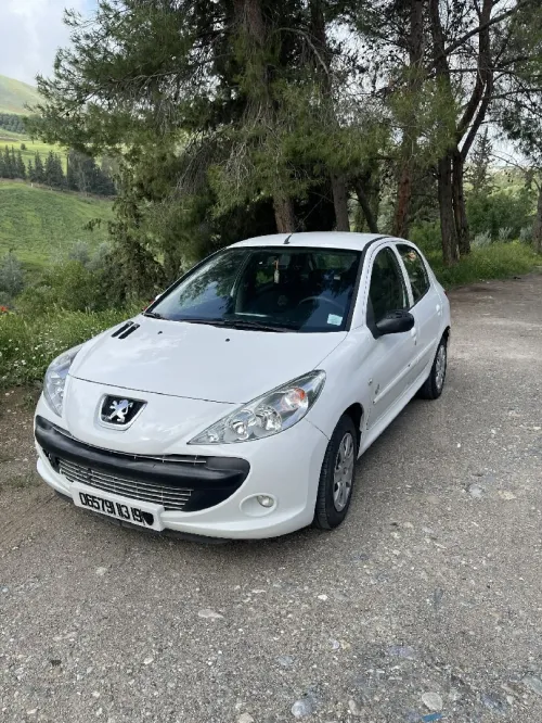 Peugeot 206 Plus 2013 206 Plus