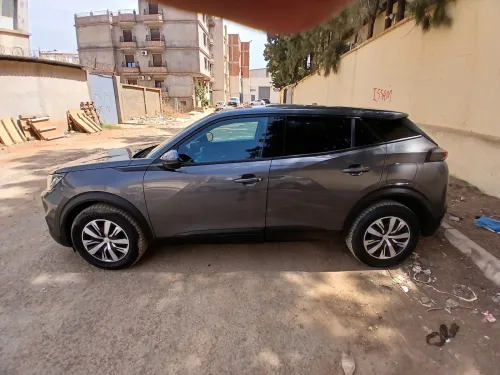 Peugeot 2008 2021 