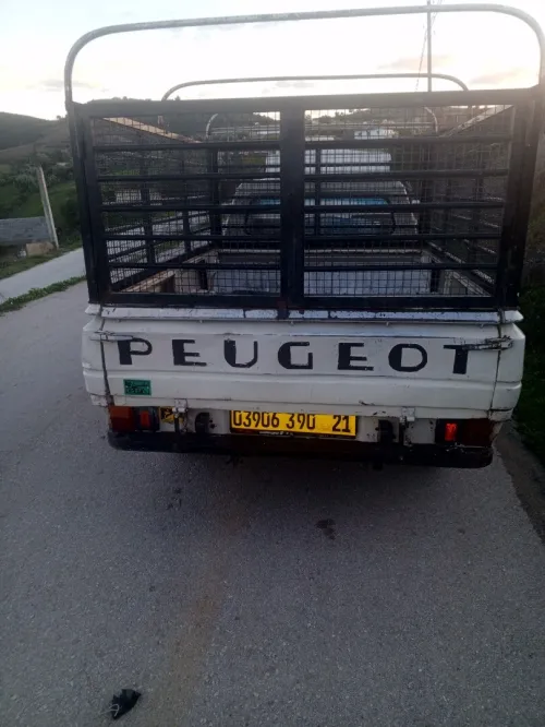 Peugeot 504 1990