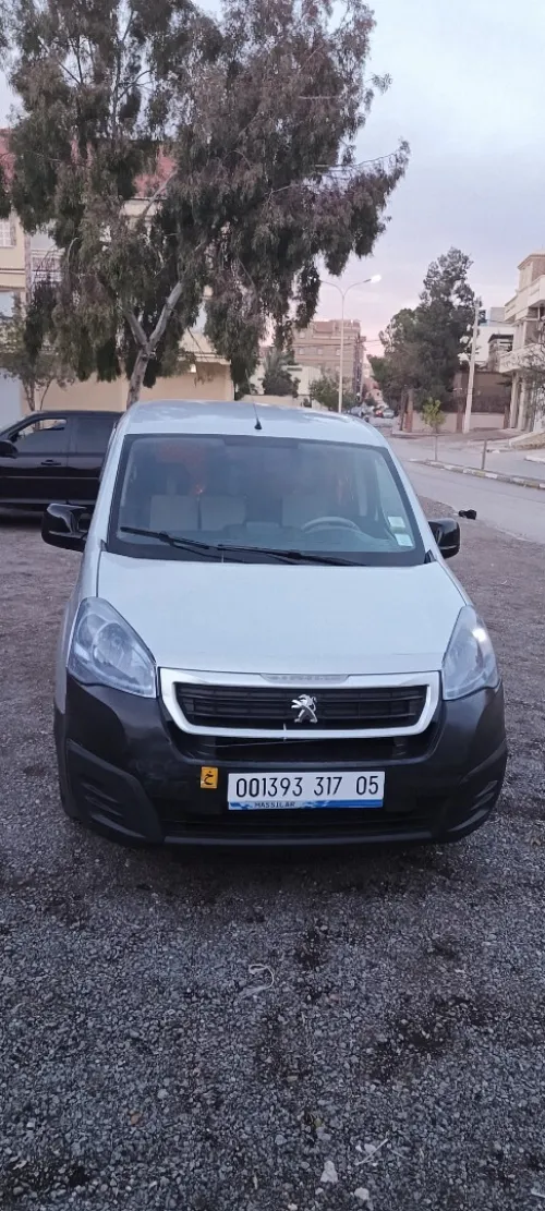 Peugeot Partner 2017 Partner