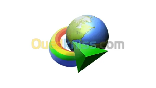 Internet Download Manager (IDM) "Lifetime" : Le Téléchargement à Pleine Vitesse 