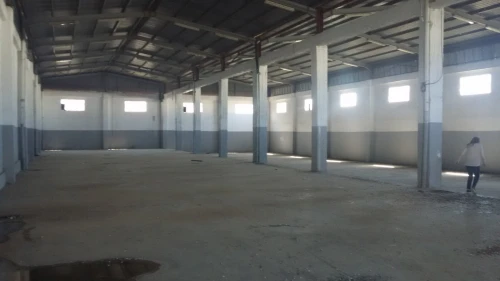 Location Hangar - Usine Tipaza Bou ismail