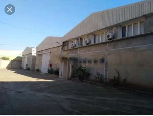 Location Hangar Alger Dar el beida