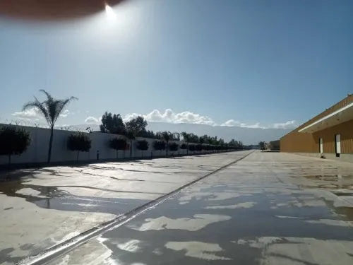Location Hangar - Usine Blida Boufarik
