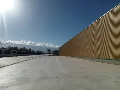 Location Hangar - Usine Blida Boufarik