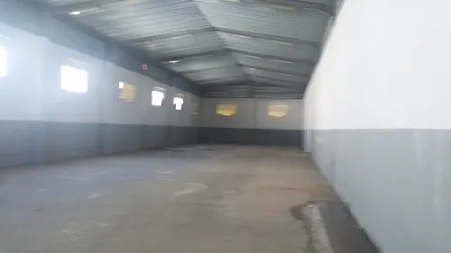 Location Hangar - Usine Tipaza Bou ismail