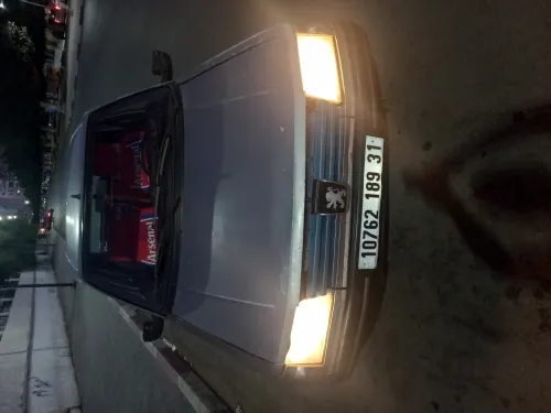 Peugeot 309 1989 309