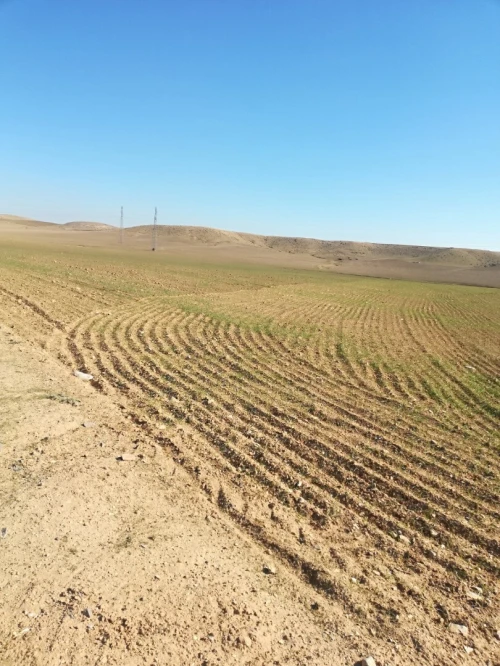 Vente Terrain Bordj Bou Arreridj El anseur