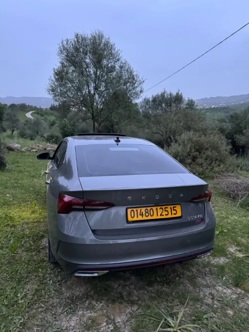 Skoda Octavia 2025 Pro