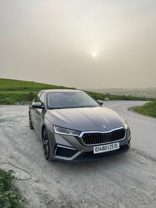 Skoda Octavia 2025 Pro