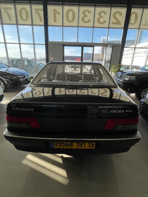 Peugeot 405 1991 GL